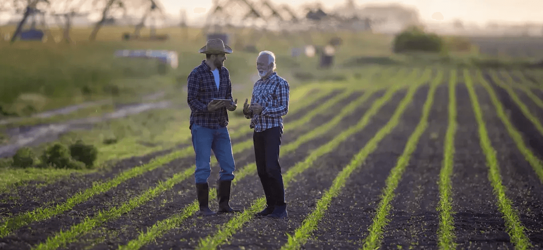 5f91b6009586e01a96c8e722a15a4f7edbe313eb (1).png