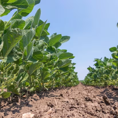 CropPWR™ Technology