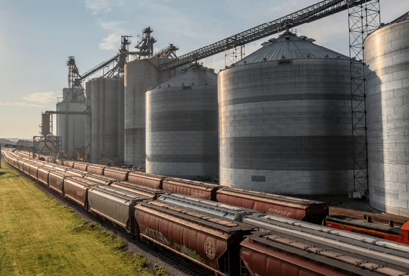 99589848e5263024a30dfb9347b11ac647ee0656 (1).png