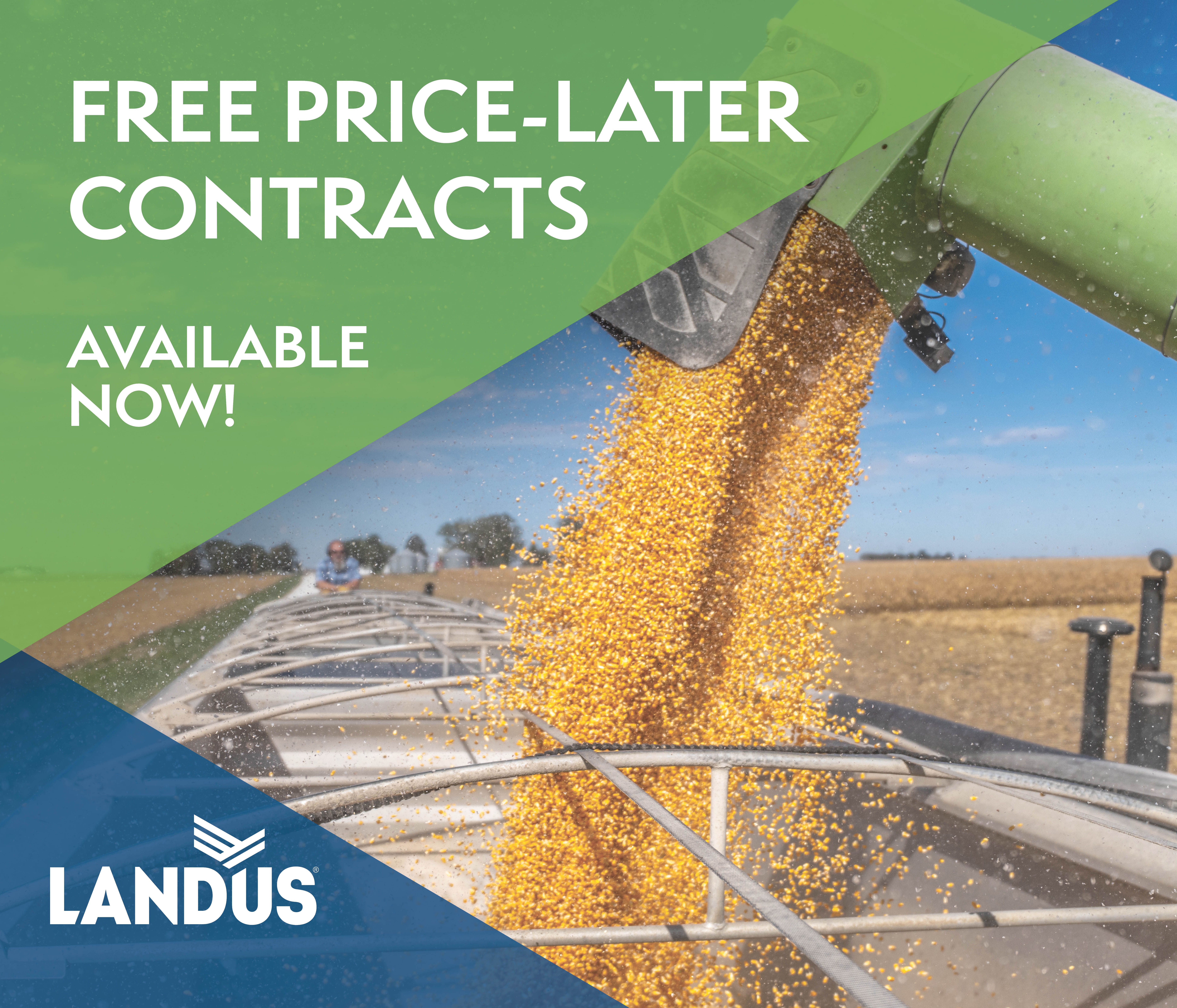 Grain_Free Price Later_2026_Website_467x467_vf.jpg