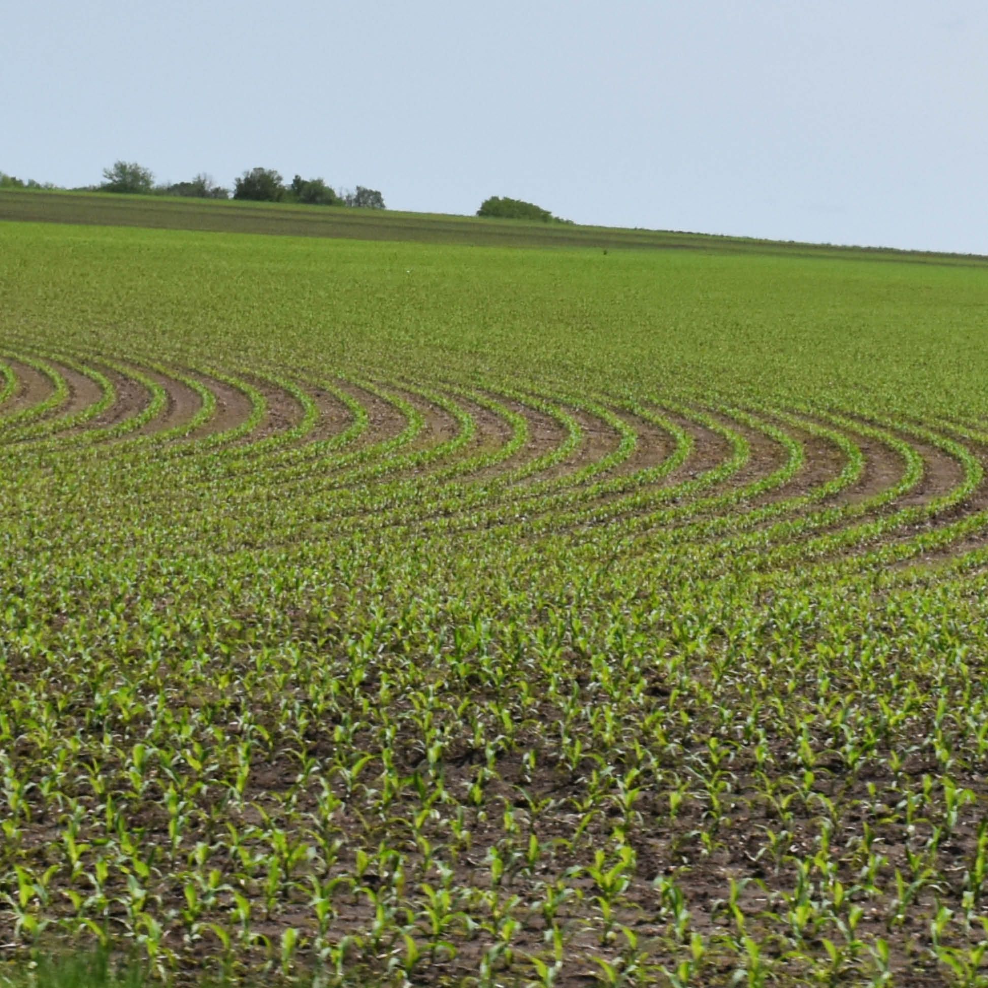 Nutrient Enhancement