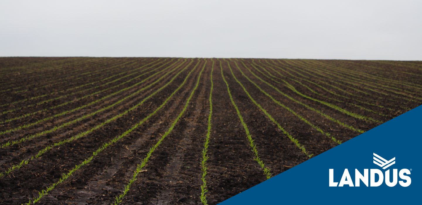 Agronomy Tech Tip: Considerations for Soil Fertility Management