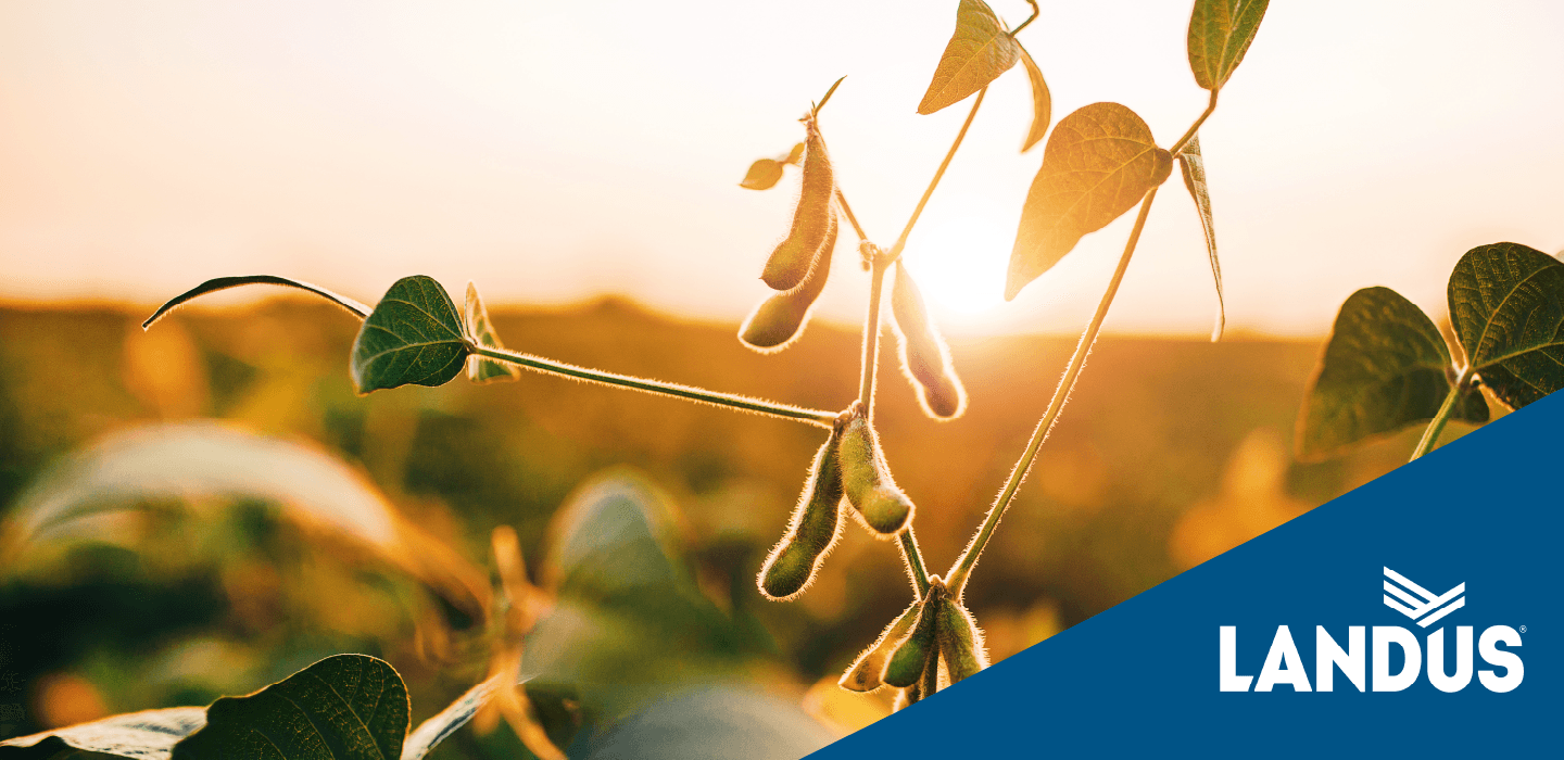 Agronomy Tech Tips: Abiotic Stress Mitigation