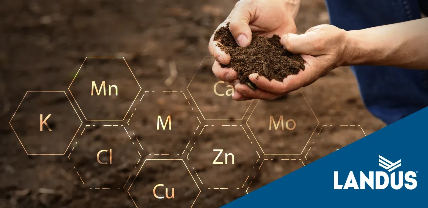 Agronomy Tech Tips: Don't Overlook Micronutrients—Small Inputs, Big Impact