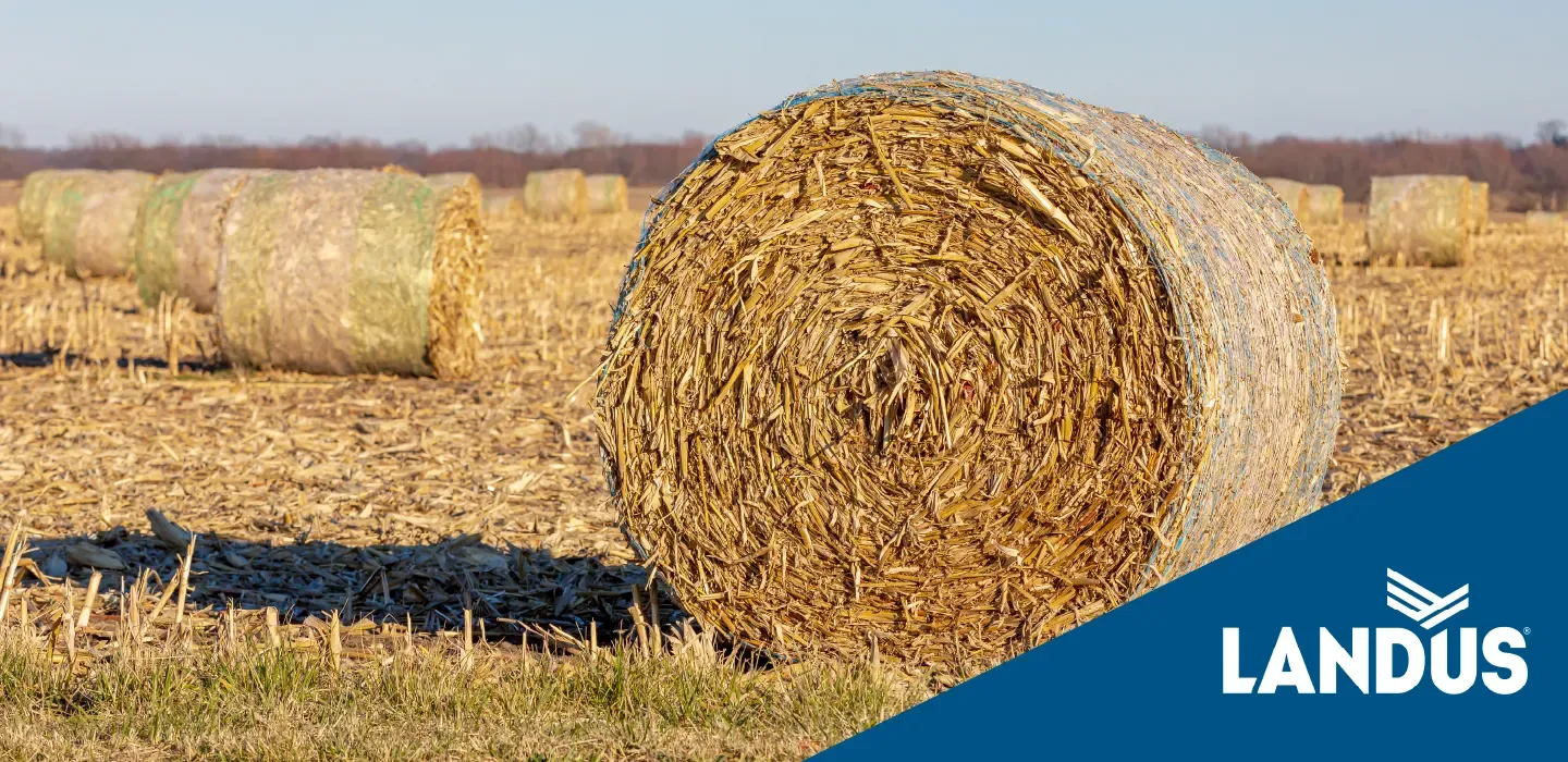 Agronomy Tech Tips: Phosphorus & Potassium Removal for Grain & Stover